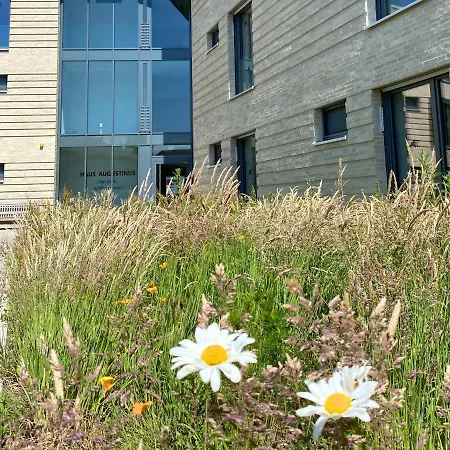 Appartements Haus Augustinus Munster  Exterior photo