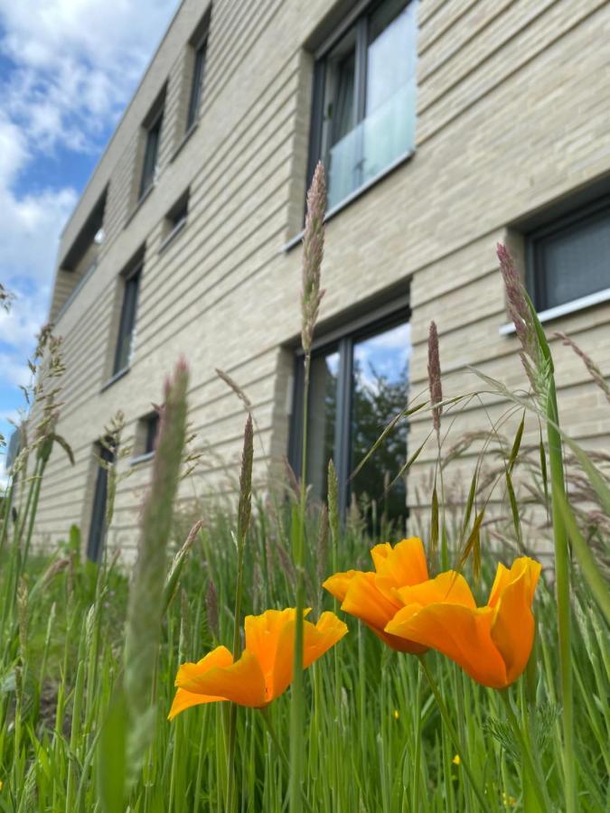Apartment Haus Augustinus *